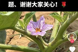 扛起进攻大旗！崔晓龙半场8中4&罚球5中5贡献14分2板2助